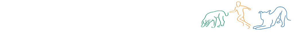 Paw Perspectives | Enhancing Relationships Between Dogs and People